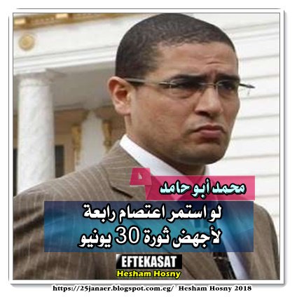 محمد أبو حامد لو استمر اعتصام رابعة لأجهض ثورة 30 يونيو