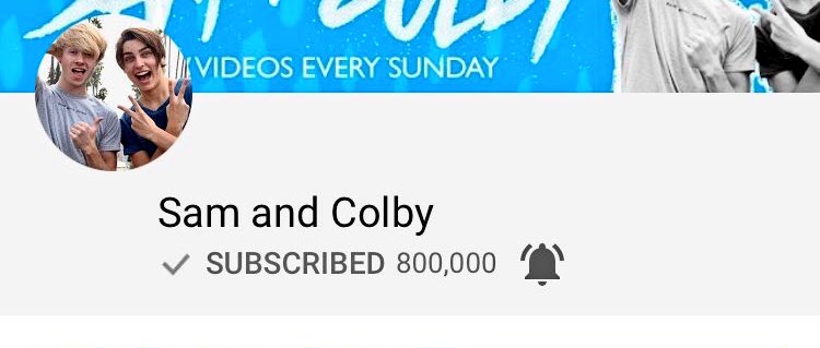 Sam and Colby tweet media