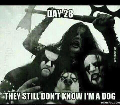 MetalProblems's tweet image. 