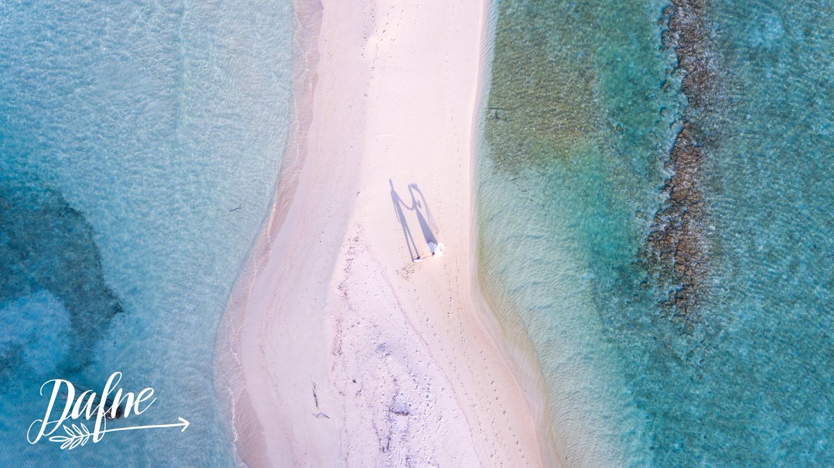 WeAreDafne's tweet image. There are two ways to live:
you can live as if nothing is a miracle;
you can live as if everything is a miracle. 

photo:Ishan