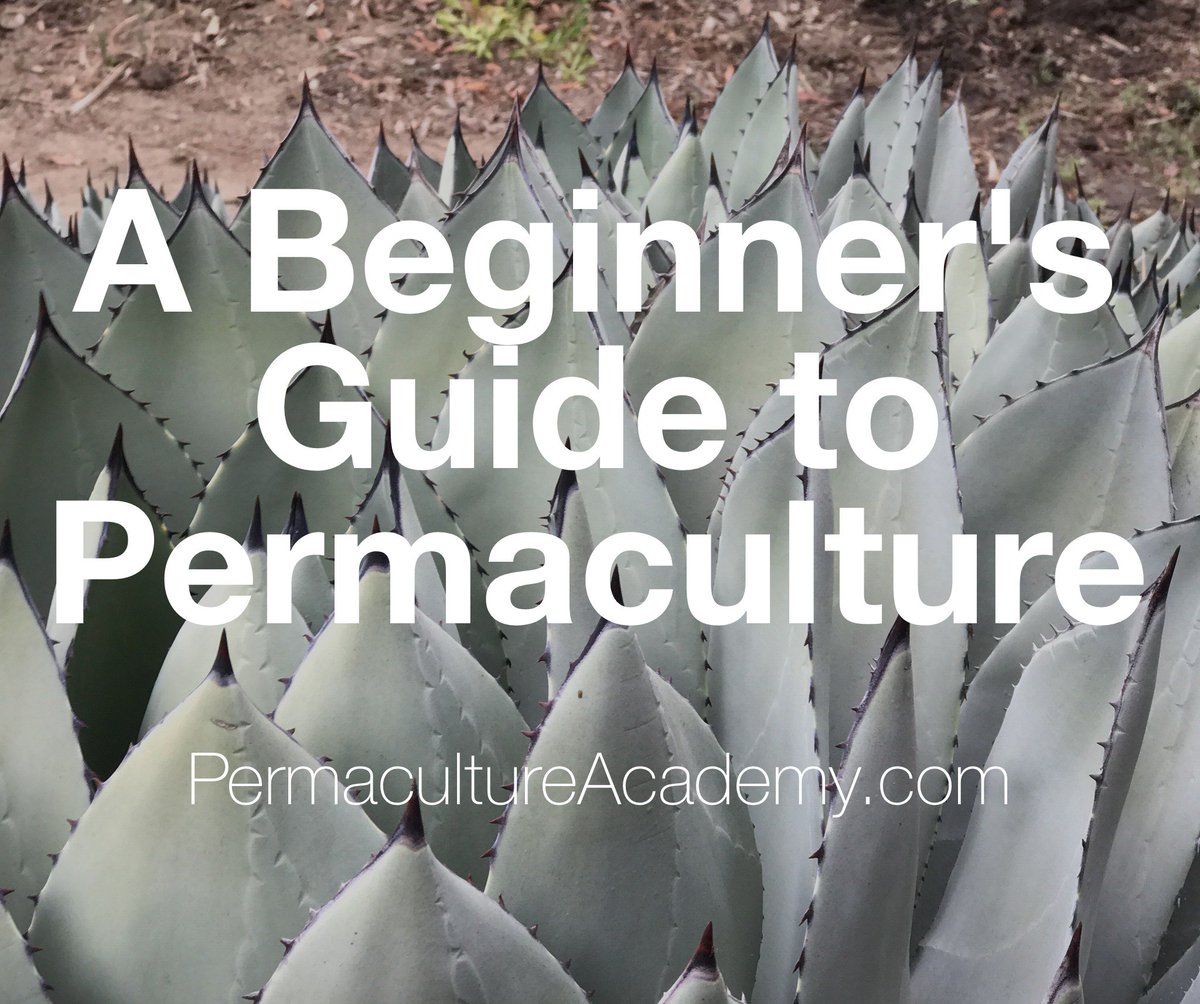LarrySantoyo's tweet photo. Oct 7&amp;8, 2017 in Hollywood.
An in-depth introduction to #Permaculture Design. Join @LarrySantoyo &amp; friends for 1st wknd of our 6 part series https://t.co/7xeNQOPLPh