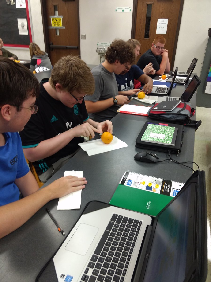es_oshel's tweet photo. Cutting up oranges to learn the planes of the body. #gopherscience #prairieproud https://t.co/0LiC4GzWQf