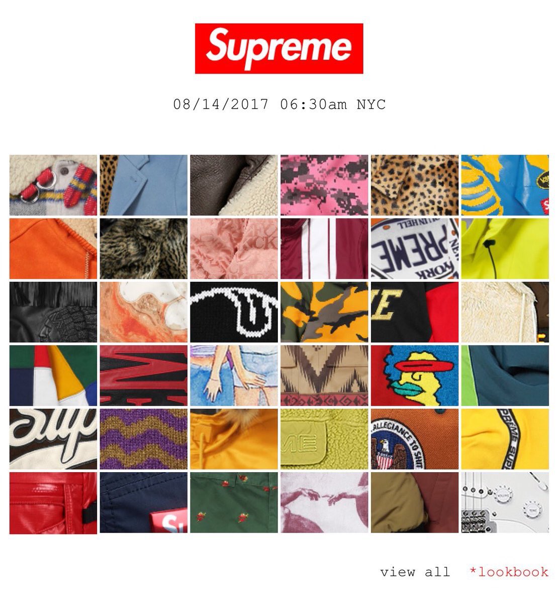 straight_sole's tweet photo. The Supreme F/W '17 look book dropped today.

What are your must cops? https://t.co/gjWJ40e0R6