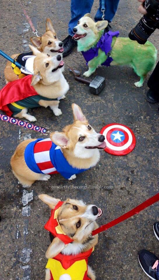 DHNFn0EV0AA6IhI.jpg:large