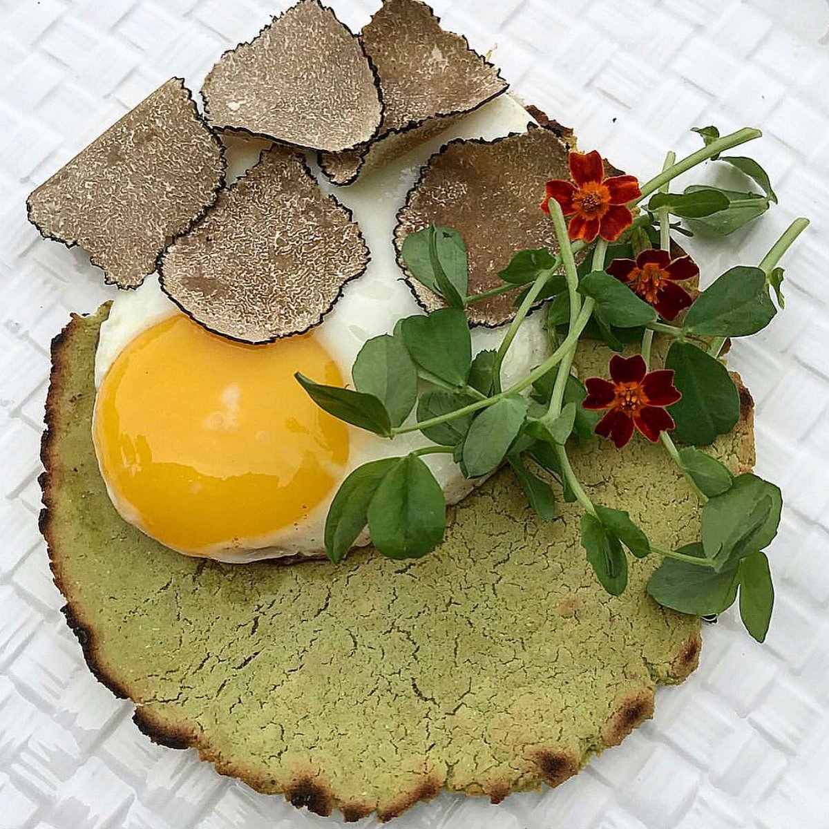UrbaniTruffles's tweet photo. Collard Tostada Sunny Egg & Fresh Truffle Bloom by #ChallengeIngredient. #UrbaniTruffles #TruffleLovers https://t.co/s5pY1T9aQj