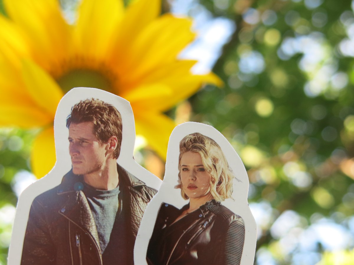 crashdowncom's tweet photo. #BandTtravels2TV Take #BaronAndToluca with you&share with us all that fun places you go on your own virtual journey! #SummerTime #ScifiTime https://t.co/1kUdmcBsJ2