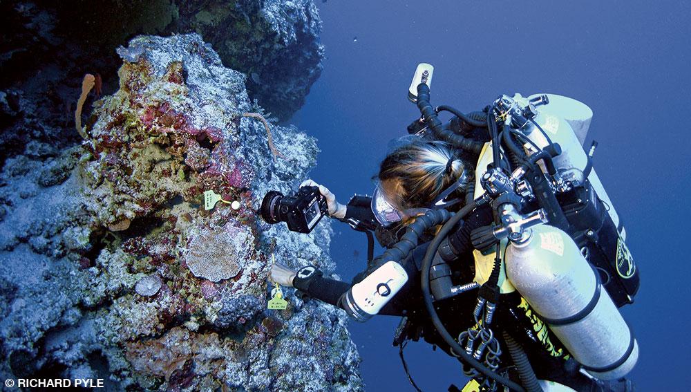 Oxygen sensors are complex and poorly understood. Discover how they work before you trust them with your safety. bit.ly/2hYn7NH