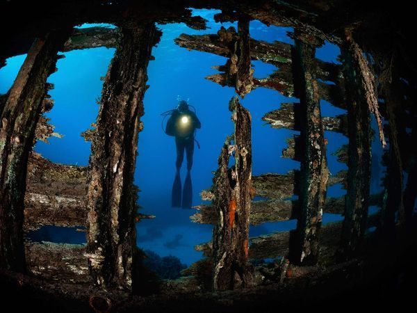 10 Scuba Diving Safety Rules for Avoiding Emergencies via <a href="/sportdiver/">Sport Diver Magazine</a> buff.ly/2vAE4AM 
#Scubadiving