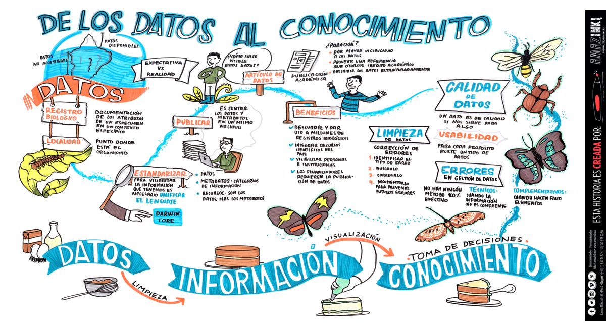 sibcolombia's tweet photo. Mejor calidad de datos en #ColeccionesBiológicas #ColombiaBIO. Facilitación gráfica por @AmazinkStudio. Conoce más: https://t.co/NF3iVUEJGF https://t.co/qCoUKqZFaJ