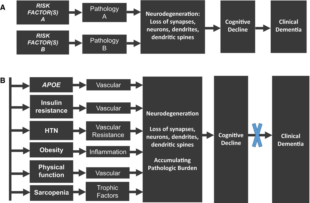 AGSJournal's tweet photo. Prevention of #Alzheimer’s Disease: Lessons Learned and Applied. https://t.co/qyZDCmBtl6 #geriatrics https://t.co/FzJbwBlo8c