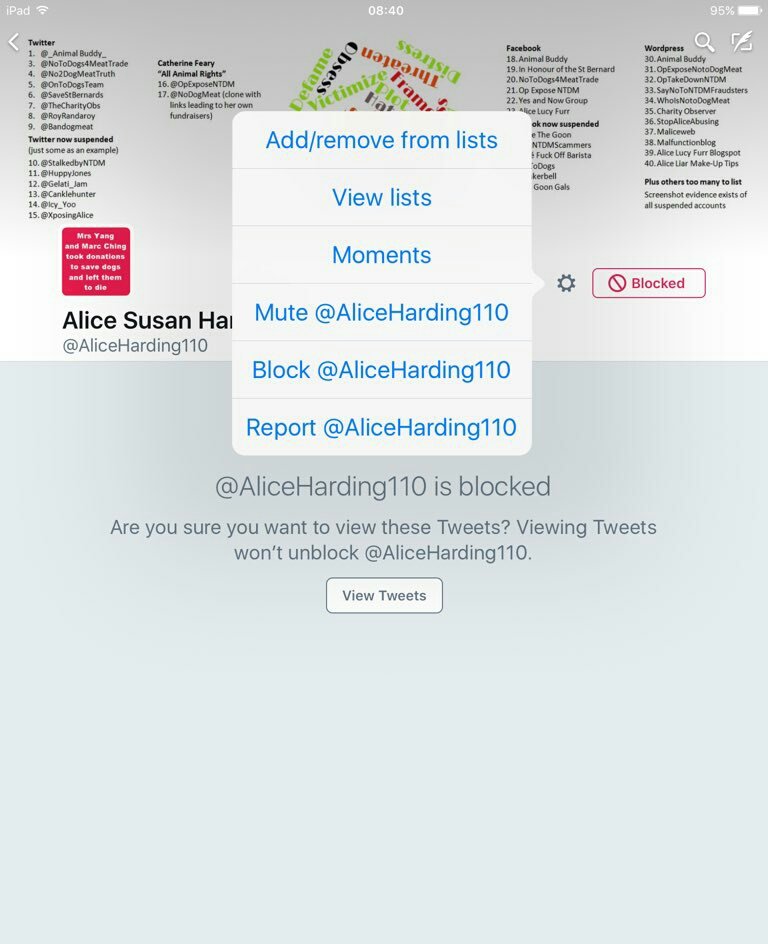 OpYangChingKim's tweet photo. TO REPORT THE #DEFAMERS of #MrsYang #MarcChing #NamiKim
1. GO ON THE ACCOUNT
2. SETTINGS (ON THE RIGHT)
3. REPORT
4. FOLLOW THE INDICATIONS https://t.co/FqMtm7MOFS