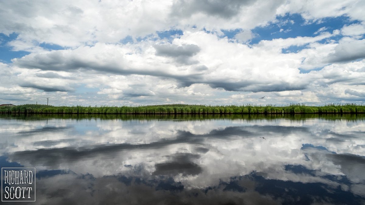 RichardScottIAM's tweet photo. https://t.co/ye6PW4Nr6y#blackwaternationalwildliferefuge #delmarva #maryland #naturephotography #beautifulclouds #clouds#delmarvalife https://t.co/fr8hxJq3lF
