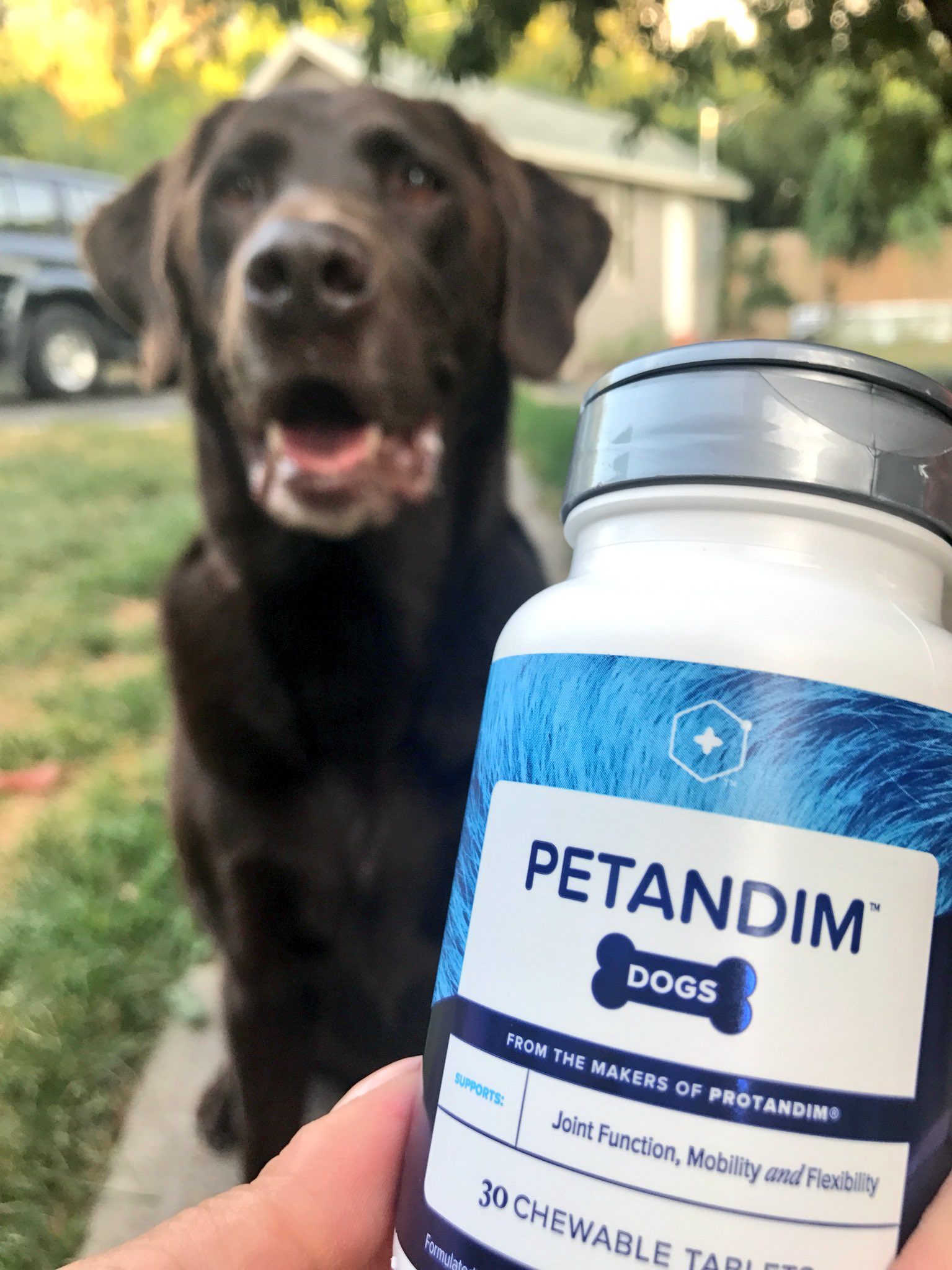 Protandim dogs cheap