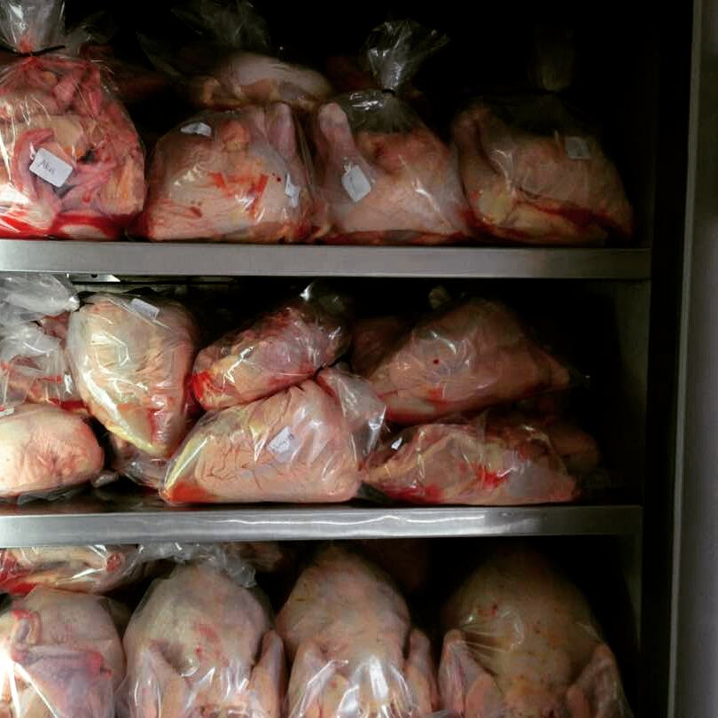 HalalCol's tweet image. ¡Pollo fresco halal!  
 calle 108 #8A-24, Bogotá- Colombia.
Domicilios: +57 318-8660122/ 310-3232323
#halal