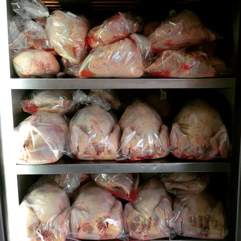 HalalCol's tweet image. ¡Pollo fresco halal!  
 calle 108 #8A-24, Bogotá- Colombia.
Domicilios: +57 318-8660122/ 310-3232323
#halal