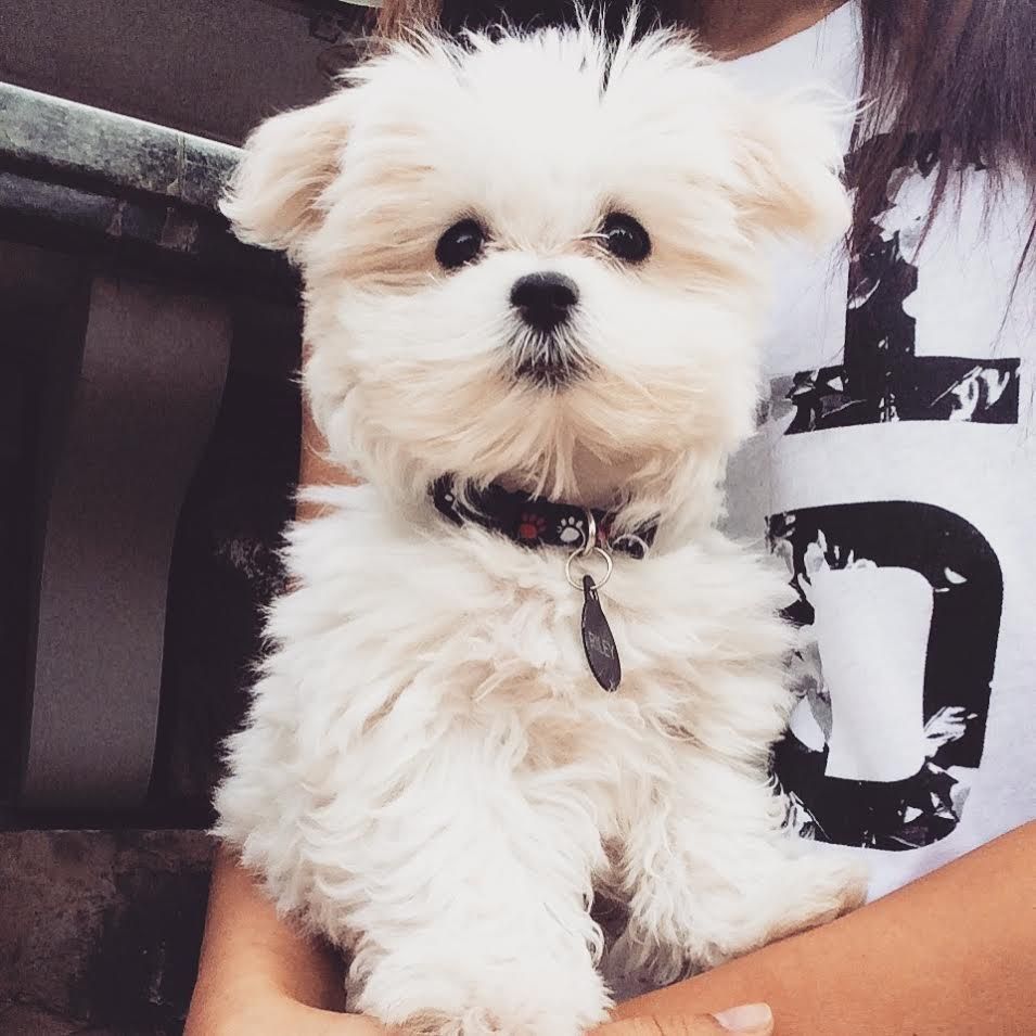 ThatsAnimals's tweet photo. https://t.co/GuBWYc93Ay