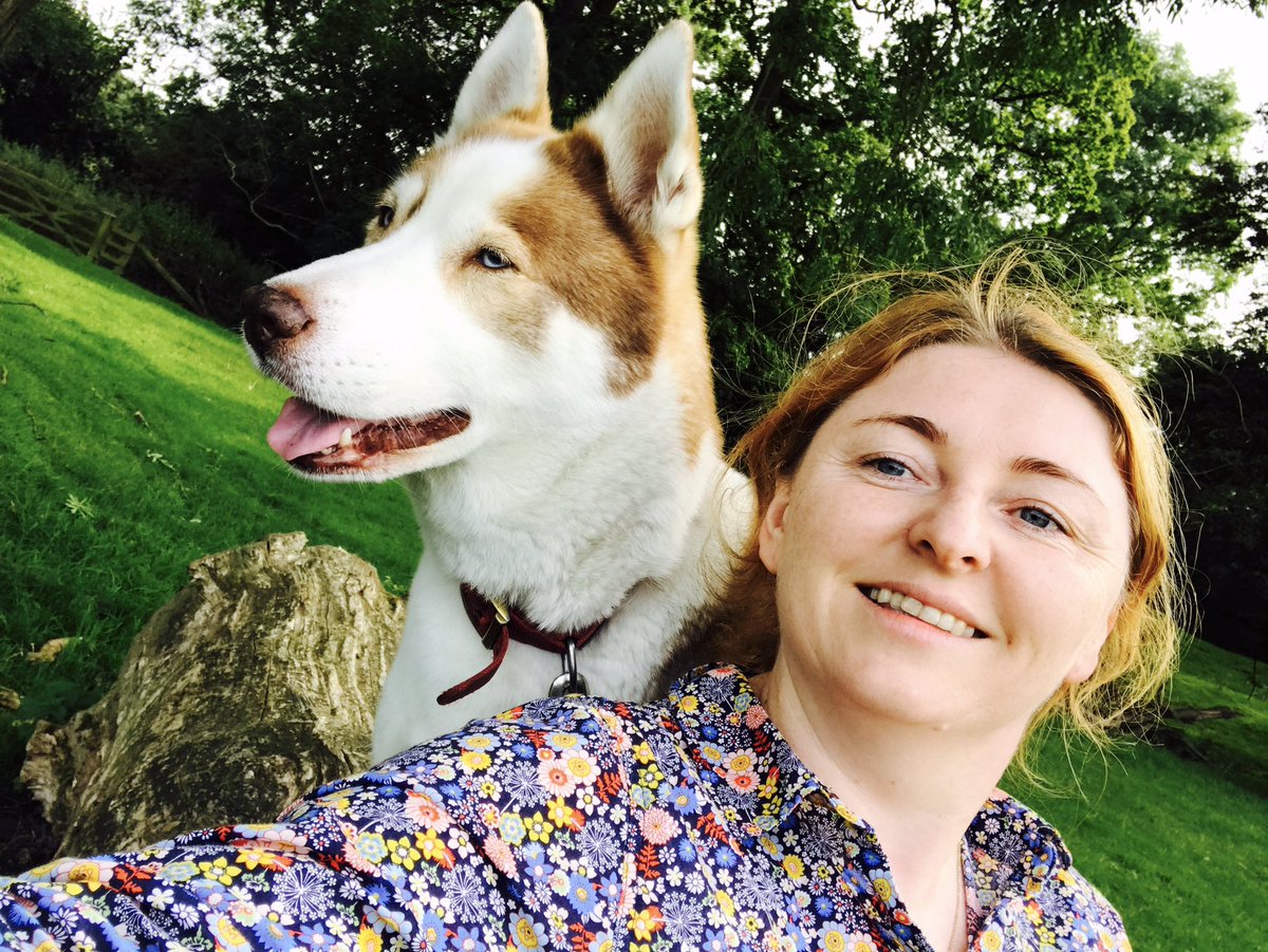 moniatrip's tweet photo. #animals #love #good girls #labradors #husky and #jackrus #friendship #playtime at #beautiful @DuncombePark @VisitHelmsley @luvYorkshireuk https://t.co/jhdenzMP08
