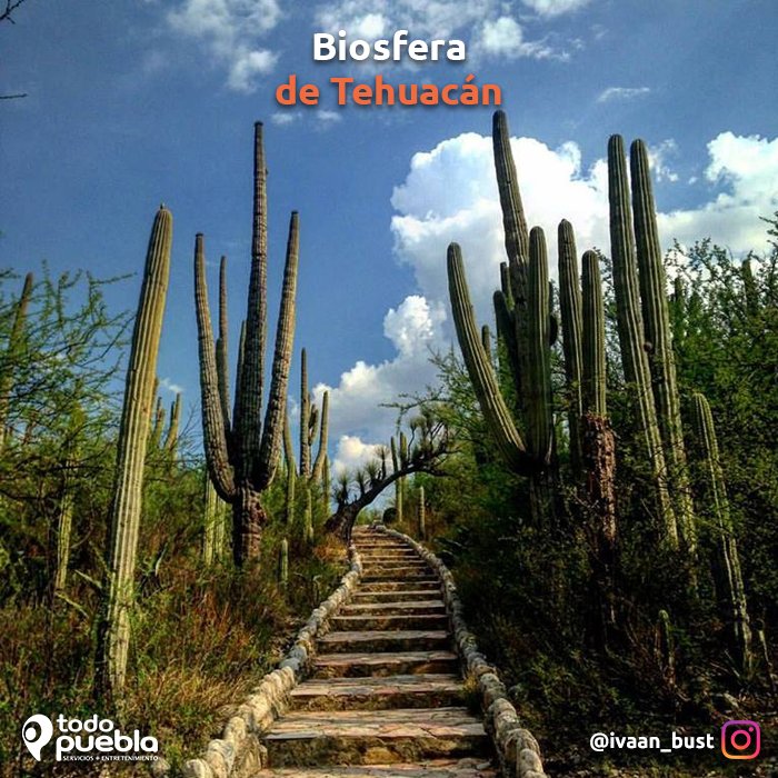 Desde_LaSilla's tweet image. #Puebla tiene excelentes lugares para perderse ¿Cuáles de estos ya conocen? TodoPuebla.com