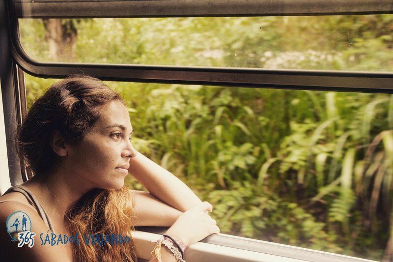 Vir_365sabados's tweet photo. Mirada perdida y pensamientos distraídos entre la jungla, de camino directo al corazón de Sri Lanka.
.
.
#amazingp… https://t.co/8sVdfg95OA https://t.co/5WHGv9y4vE
