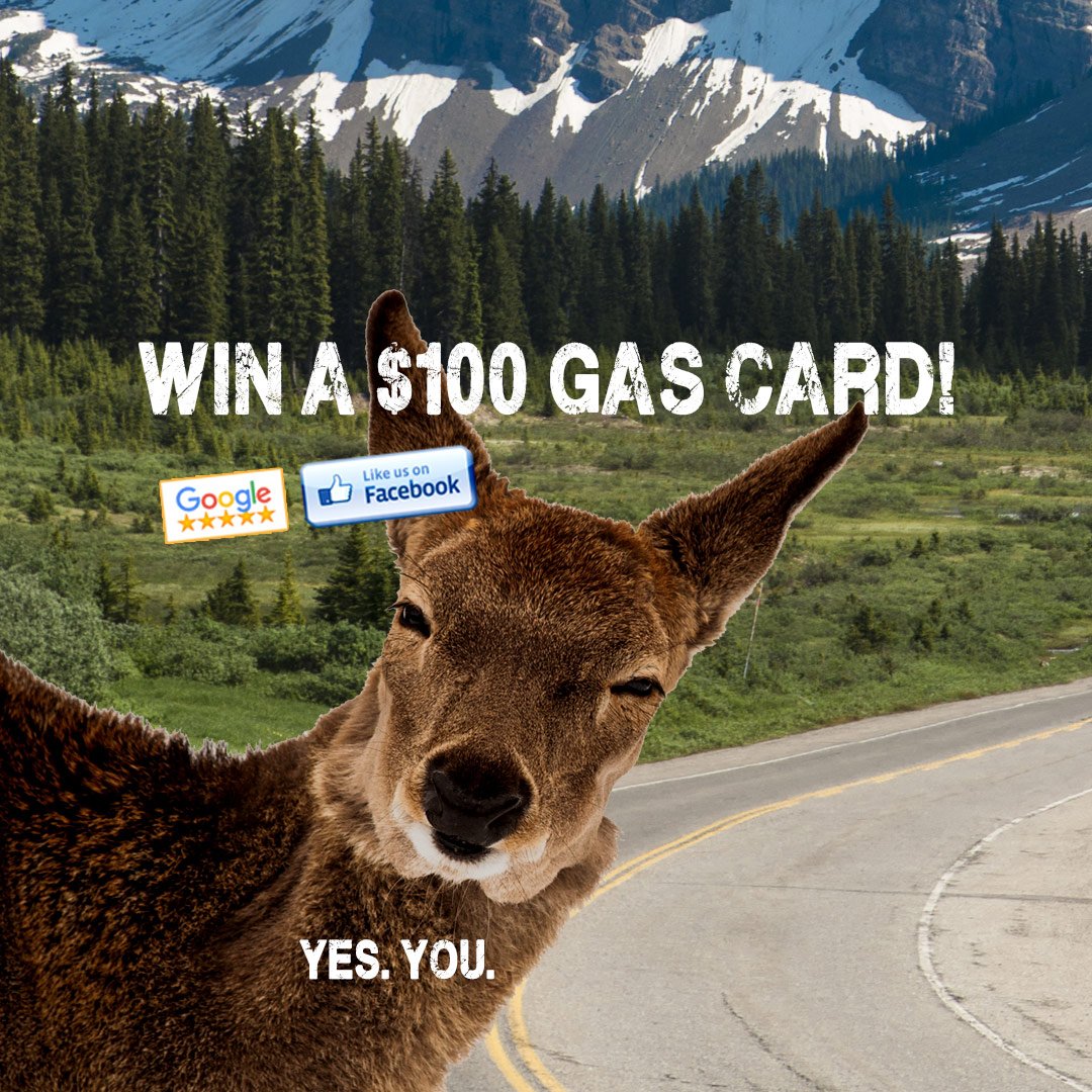 Win a $100 Free Gas Card!  Yes, you!  bit.ly/2wqqTCK #photobomb