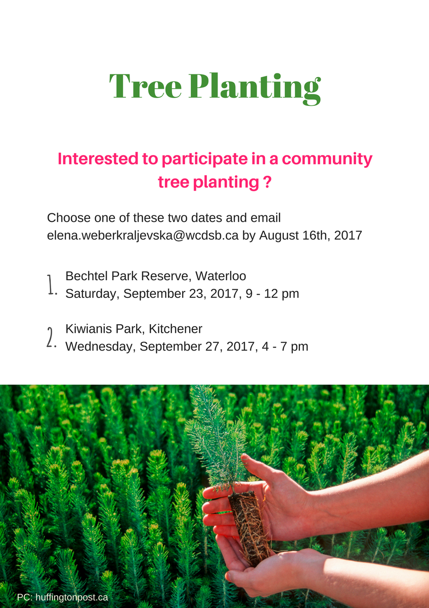 WCDSB Sustainability (@wcdsbgreen) on Twitter photo Looking for 10 #WCDSBAwesome folks to participate in a community 🌳planting <a href="/WCDSBNewswire/">WCDSB</a> @WCDSBFacilties <a href="/citywaterloo/">City of Waterloo</a> <a href="/CityKitchener/">City of Kitchener</a> Looking for 10 #WCDSBAwesome folks to participate in a community 🌳planting <a href="/WCDSBNewswire/">WCDSB</a> @WCDSBFacilties <a href="/citywaterloo/">City of Waterloo</a> <a href="/CityKitchener/">City of Kitchener</a>
