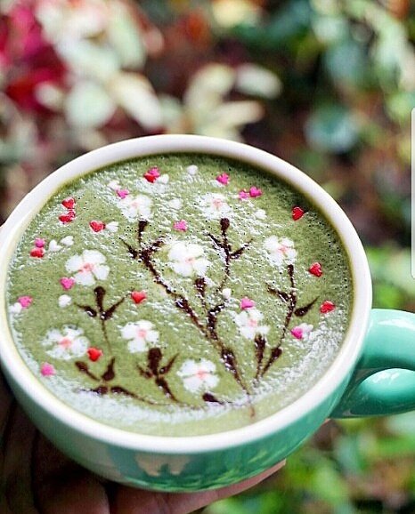 Sakura Matcha Latte 🌸☕️!
#tavalon #tea #teatime #Sakura #cherryblossom #타바론 #티타임 #matcha #latte #latteart #barista #greentea -📷 <a href="/Blancheeze/">Blanche ブランチ</a>