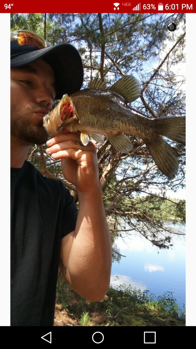 scheff_16's tweet image. 