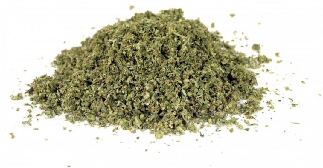 MVMembersOnly's tweet photo. Tomorrow is FAT Tuesday 5 gram eighths on all strains!! Don't miss out! We are open at 8AM to 12AM! #5gram #medicate #indica #hybrid #sativa https://t.co/We2UKT9EyO