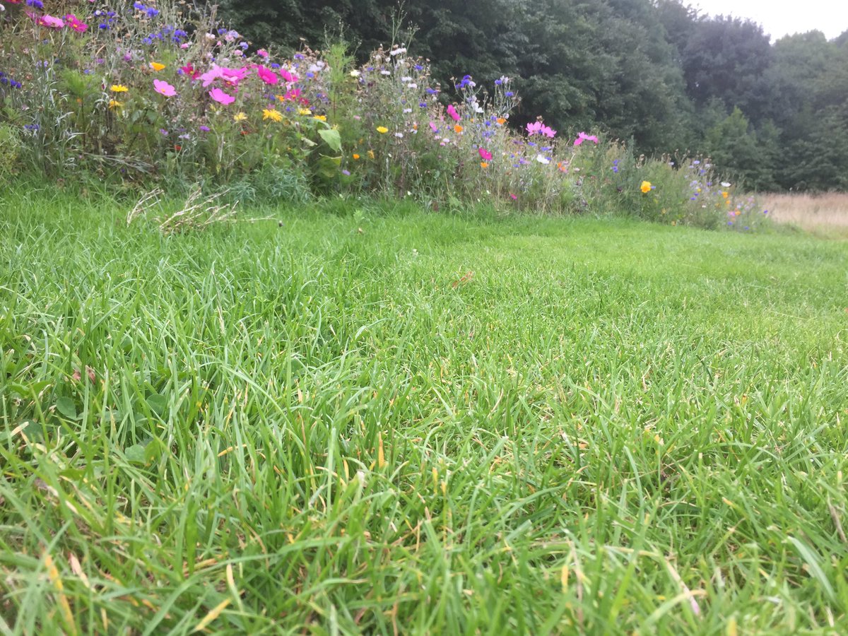 GreensMalvern tweet picture