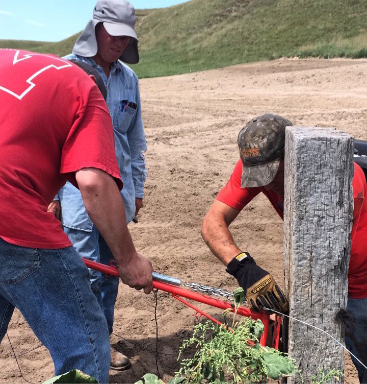 HonestBeef's tweet photo. Taken 2 seconds before Dad thought it would be funny to turn on the electric fence while Gabriel was still fixing it. #shocked #honestbeef https://t.co/Ybkh17IXPH