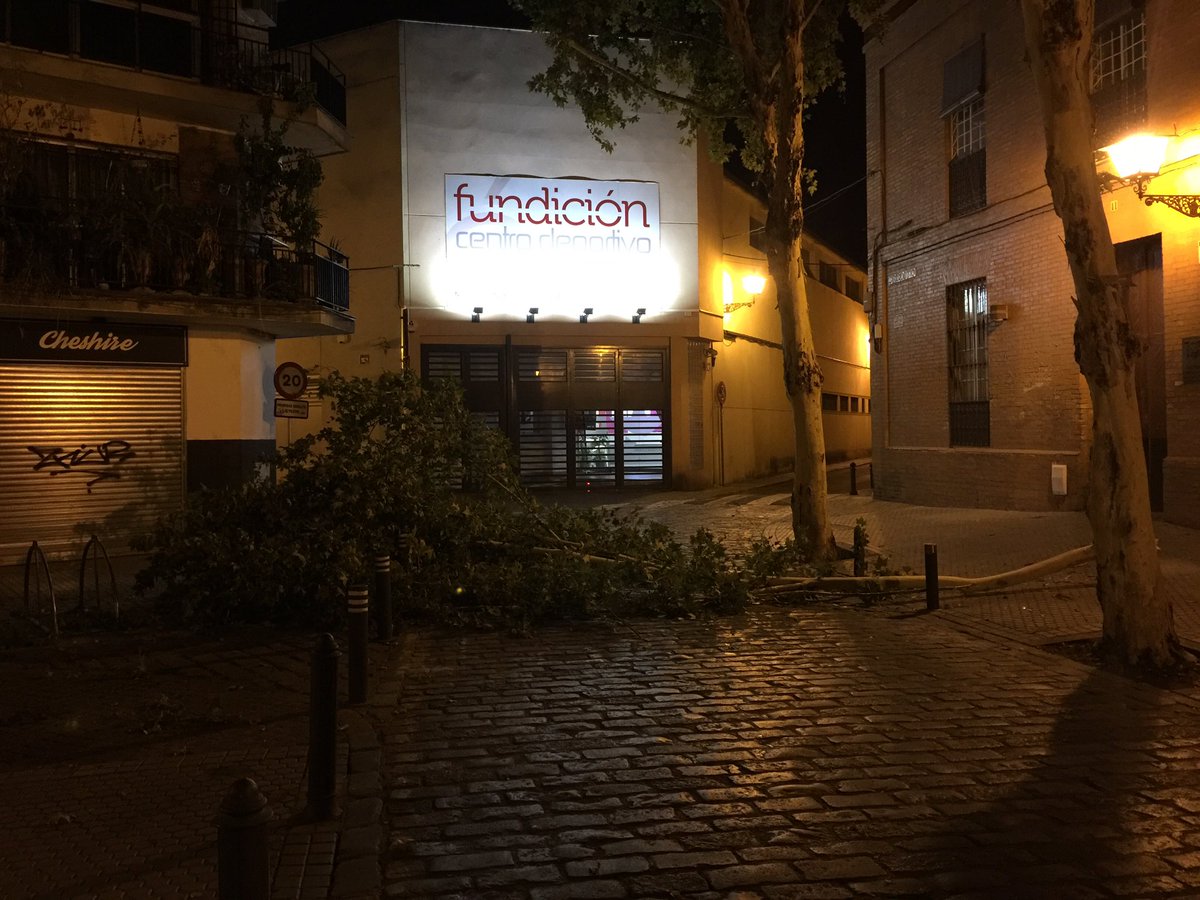 fespinosacon's tweet photo. Sr @JuanEspadasSVQ no podemos ni cenar tranquilos, una enorme rama recién caída en la c/credito #espadassevaporlasramas #dimisonesYA https://t.co/yNXKvMJMzx