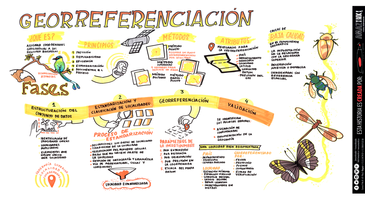 sibcolombia's tweet photo. Proceso de georreferenciación socializado con #ColeccionesBiológicas por @AmazinkStudio en el marco de #ColombiaBIO https://t.co/NF3iVUEJGF https://t.co/M5u7CSPP8k