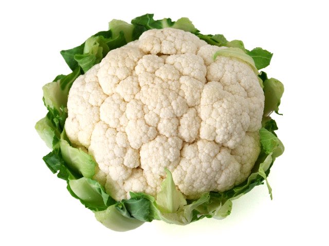 Darf ich vorstellen... #wei&szlig;erbroccoli #pbb #teamwilliherren #promibb #PromiBigBrother #bigbrother 😂😂😂<a href="/tag/wei%C3%9Ferbroccoli"class="tags">#wei&szlig;erbroccoli</a><a href="/tag/pbb"class="tags">#pbb</a><a href="/tag/teamwilliherren"class="tags">#teamwilliherren</a><a href="/tag/bigbrother"class="tags"><span>#bigbrother</span></a><a href="/tag/promibb"class="tags"><span>#promibb</span></a><a href="/tag/promibigbrother"class="tags"><span>#promibigbrother</span></a>
