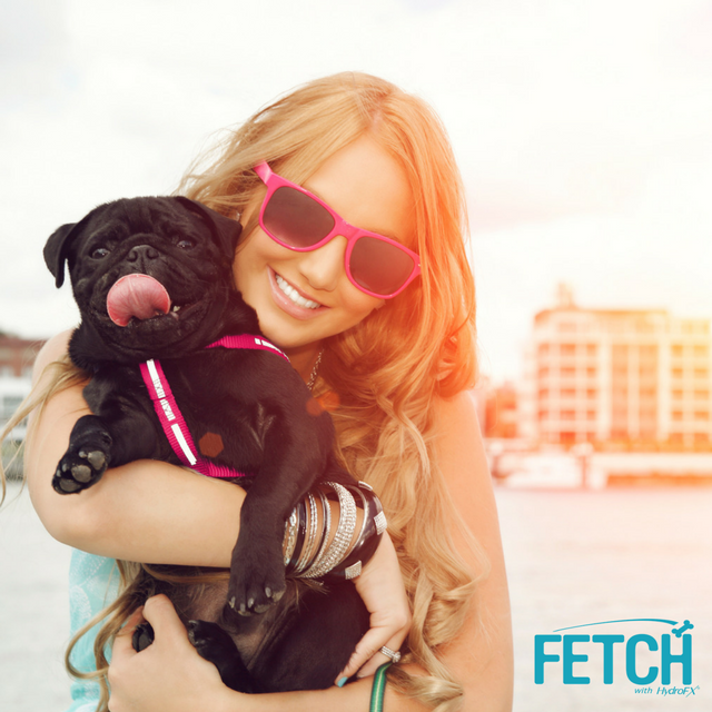 gofetchfordogs's tweet photo. Whoever said that diamonds are a girl’s best friend never owned a dog. #gofetchfordogs #happyhealthydogyears https://t.co/Cf6jKfO6fX