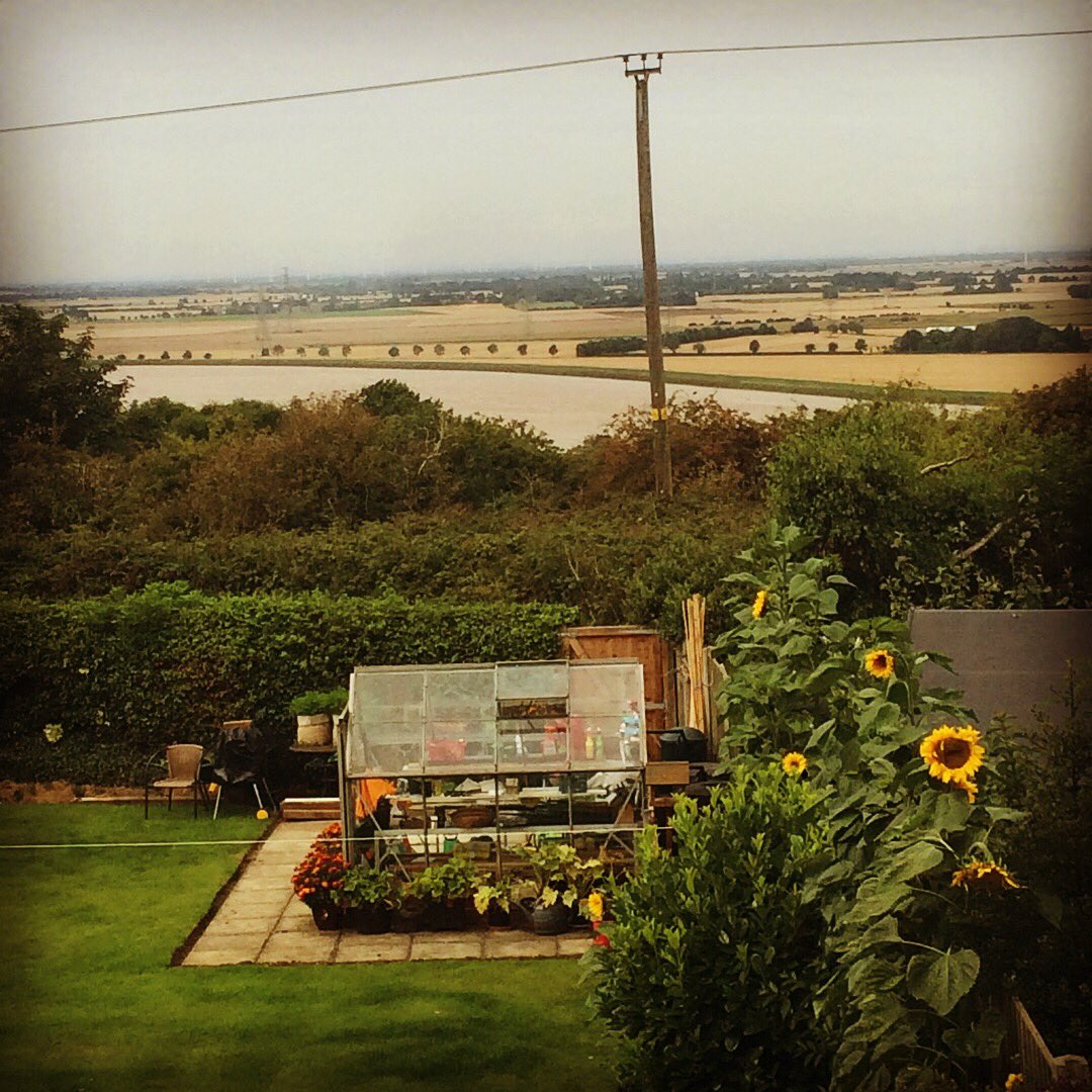 BHT_Sunflowers's tweet photo. Current top 3 #TFFSL #sunflowers: 1)Sheila in #scunthorpe (345cm-pic); 2) @WTJohnston 262cm; 3) @DawnMorrise 239cm.Still time to (re)-enter! https://t.co/VAEKtTkFPR