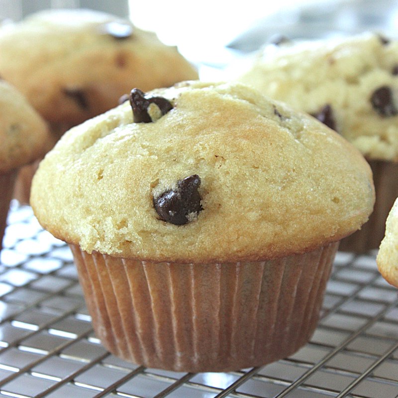 VforVeggy's tweet photo. Fluffy Moist Chocolate Chips Muffins
https://t.co/Dk8VLBvmLX
#chocolate #muffin https://t.co/8QmPiHDkTY