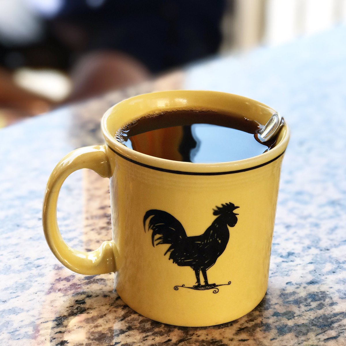 mug_bird's tweet photo. Sorry I've been MIA for the past few days! I've been on vacation in San Clemente 🌴🌴 Here's a shot from today's #coffee at Cafe Mimosa! 💚 https://t.co/7xM53x4AwO