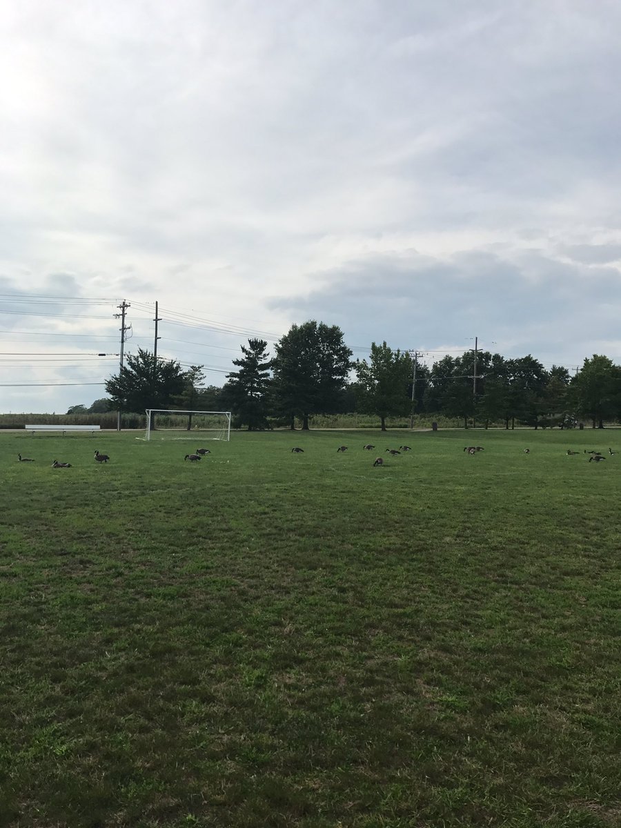 NotoriousUlti's tweet photo. What is @GooseLee_Ulti doing on our field? https://t.co/UAUdtfnIs4
