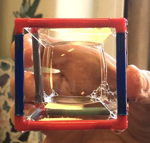 Educator_Nicola's tweet photo. Very happy class of Pre-service Teachers this morning #squarebubbles #nationalscienceweek #usyd @SydneyEdSW https://t.co/TqydEdFcDm