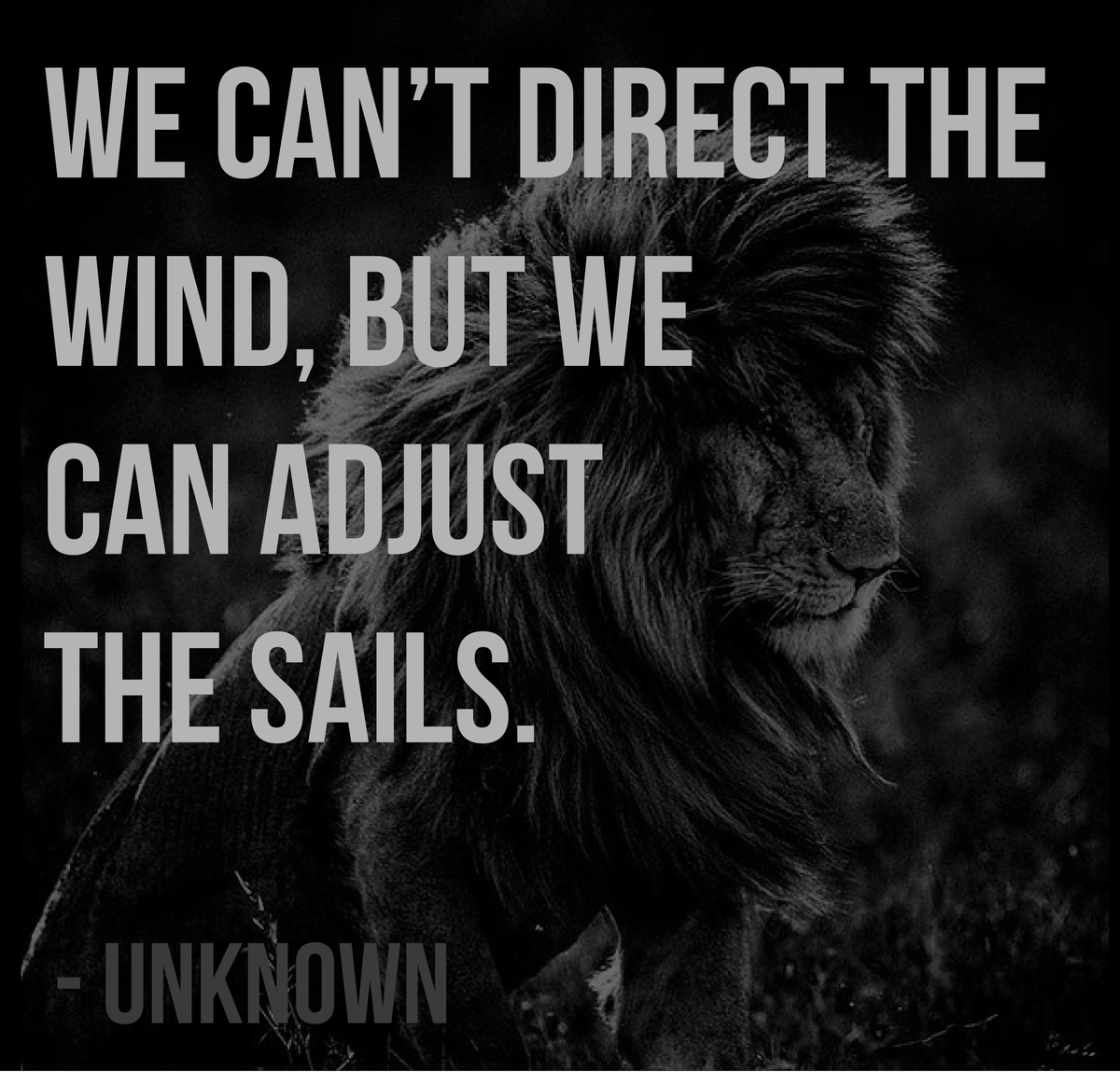 bowenadamsteam's tweet photo. #Motivation #AdjustTheSales #UtahRealEstate #UtahLiving #LionsAreForWinners #KBRE https://t.co/QsHslqJmxi