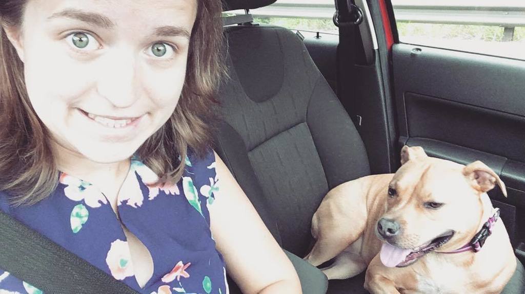 CarissaSurber's tweet photo. Nothing like pups to cheer me up on my evening commute! #maisydog #daycaredog https://t.co/2NtcUwF0pb https://t.co/dm7JWPXzLA