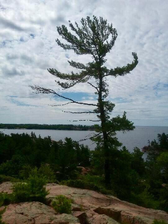 Ontario Outdoors (@outdoorsontario) on Twitter photo 