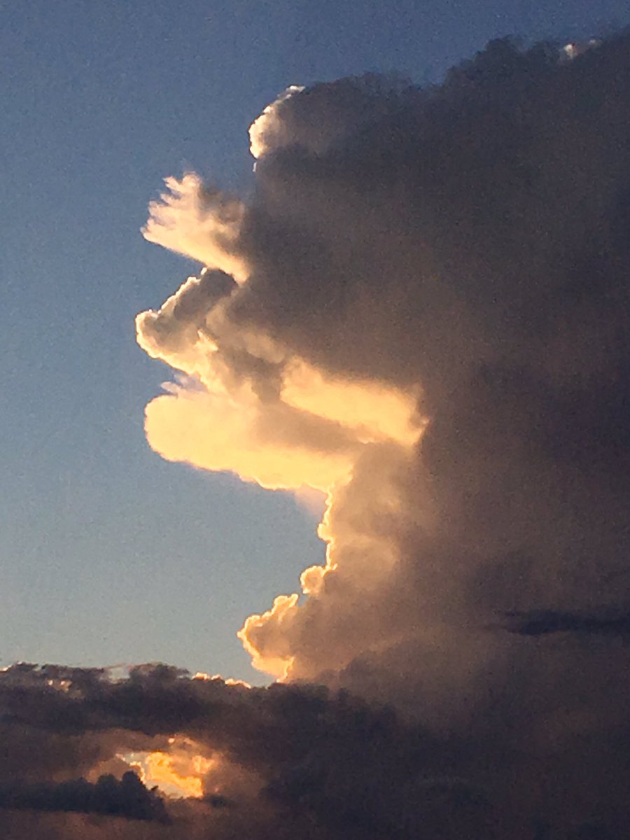 jmarieh1991's tweet photo. Arizona you are beautiful. #nofilter #sunsetdesert https://t.co/JFXvgrxfnB