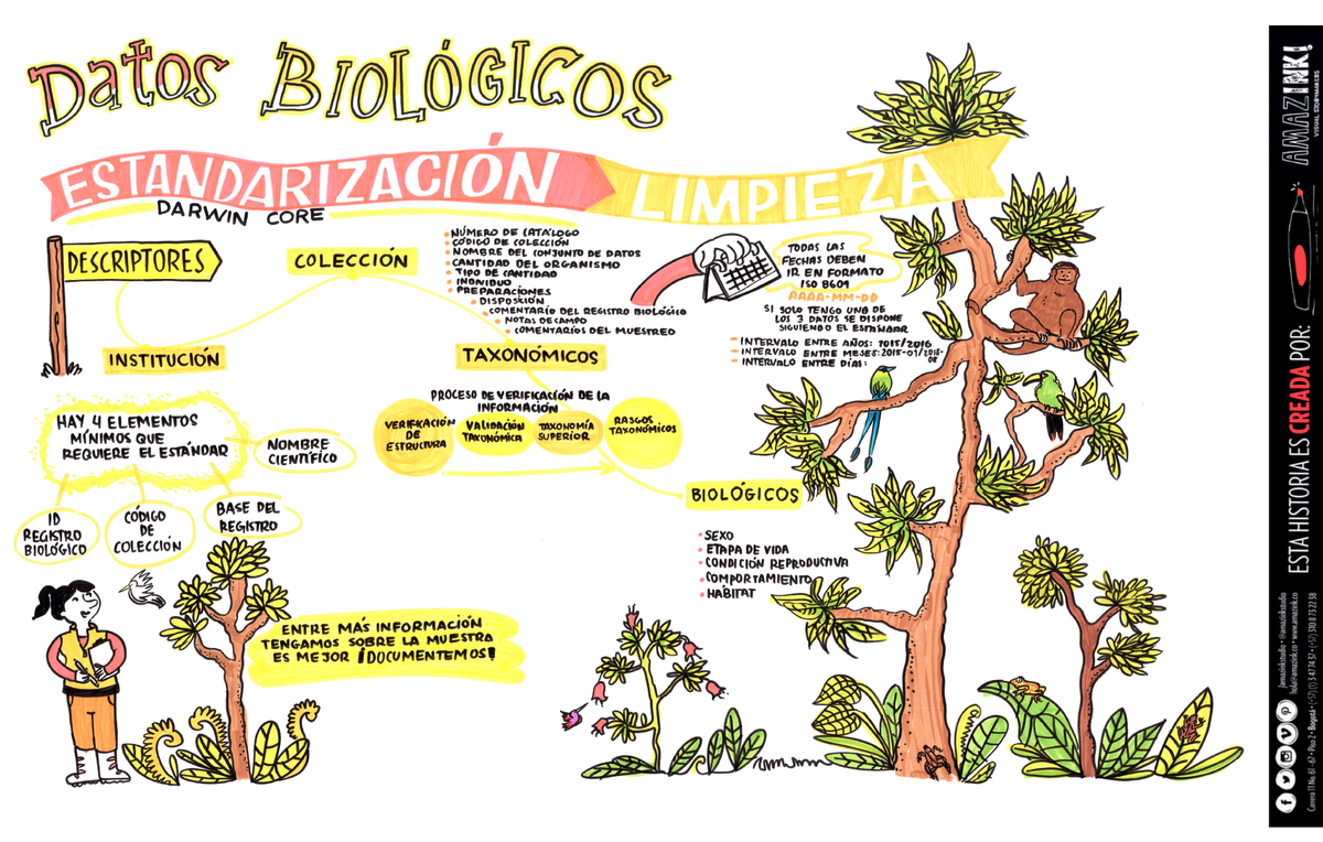 sibcolombia's tweet photo. Estandarización y limpieza de datos de #ColeccionesBiológicas #ColombiaBIO. Facilitación gráfica por @AmazinkStudio https://t.co/NF3iVUEJGF https://t.co/jwGKIevhSU