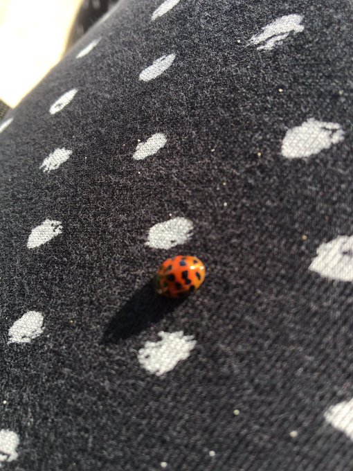 There seems to be an extra spot on my pants! https://t.co/SdRk5Mk4E4<a href="/tag/newprofilepic"class="tags"><span>#newprofilepic</span></a>