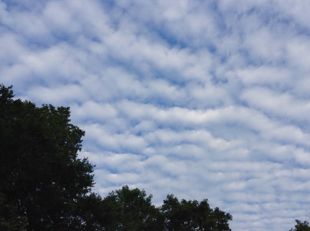 Elsablaine's tweet photo. Cool clouds tonight. No idea what they mean. https://t.co/nfRaLN9upy
