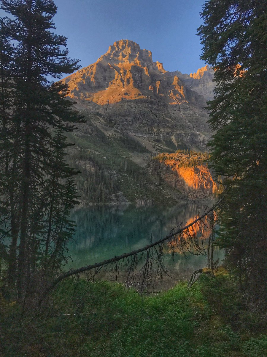 Sunset at #Lake_O'Hara, Yoho National Park. Breathtaking beyond description. This is my Canada! #Canadas150. #GreatCanadianPhotoContest