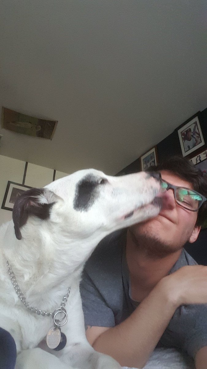 PunkRockCarl's tweet photo. Snoopy, you've filled our lives with joy for the past 8 years. Thank you for everything, no dog will replace you. I love you. https://t.co/BmQ3zghY6Z