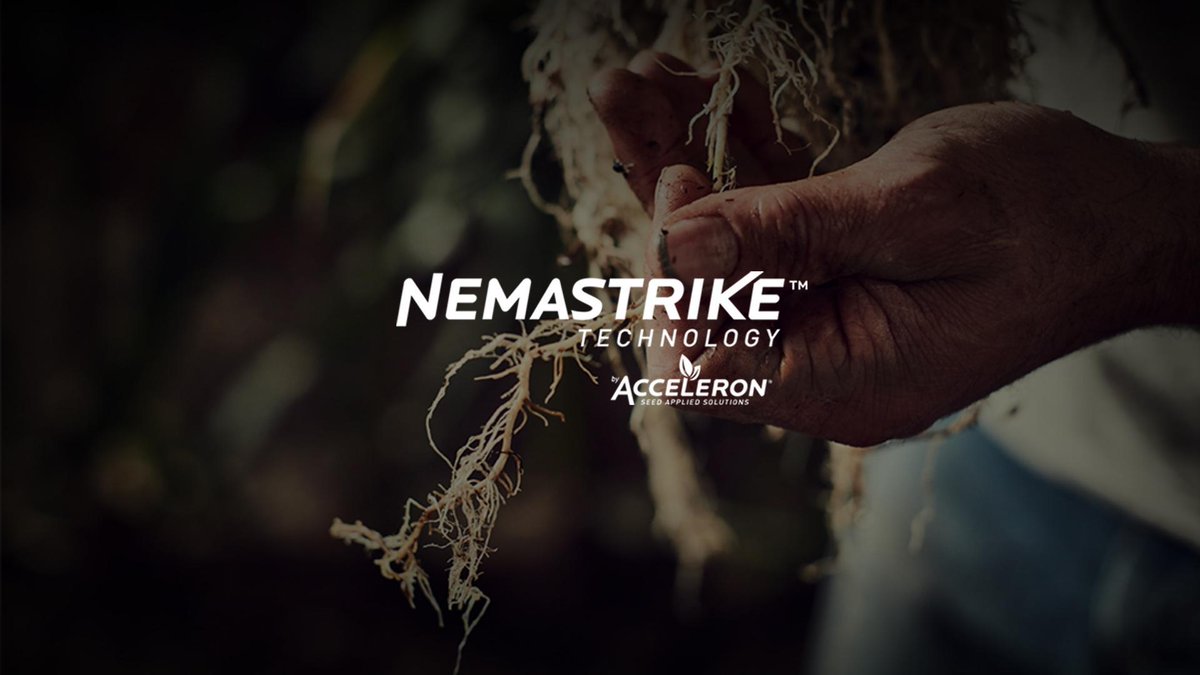 Did you know? Nematode damage often doesn’t present any above-ground symptoms. How to protect your yield:
learn.ag/2wYEtwF