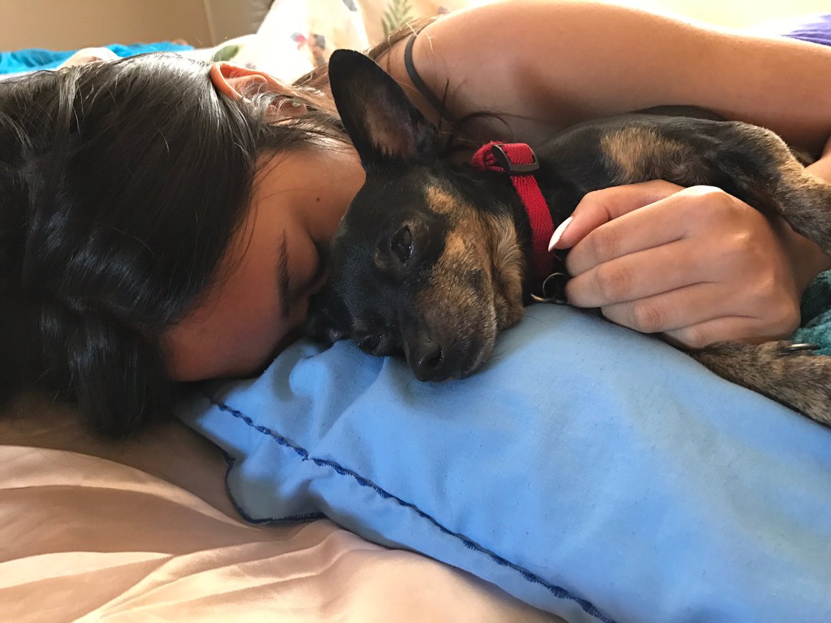 charlaaame's tweet photo. // thread of jafar being my cute lil bff bc i need that kinda positivity on my twitter (+ sumn i can look back on) 🤗🐾 https://t.co/l6sUcWhx6C